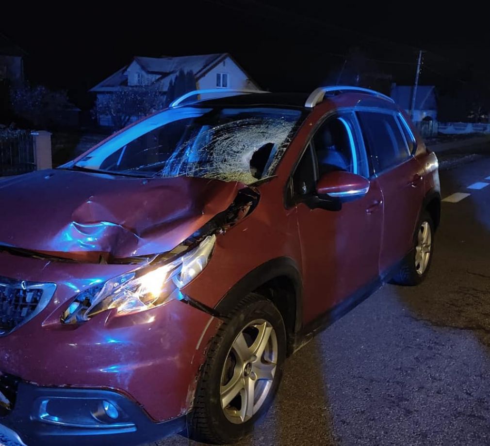 foto: Policja