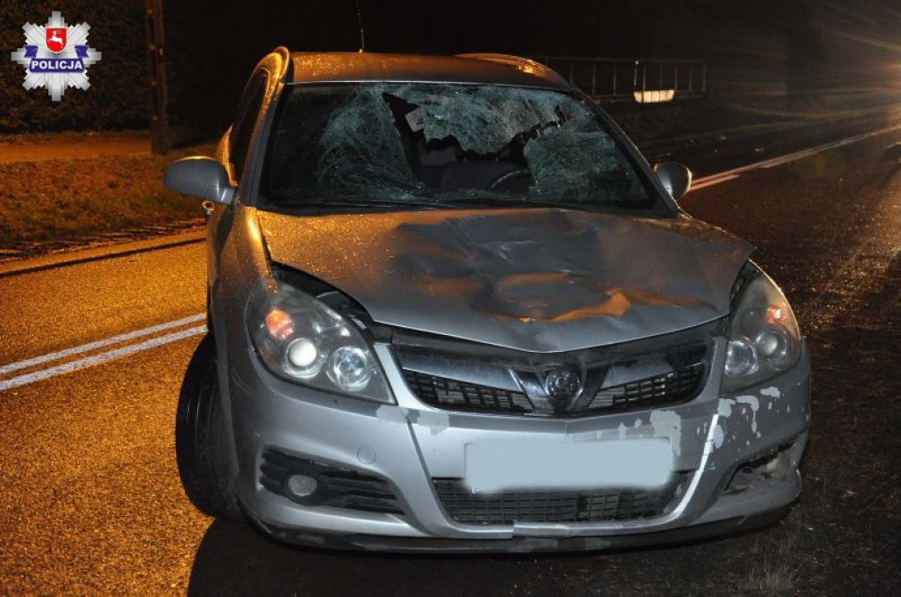 71-latek i 67-latek zginęli na miejscu, foto: Policja