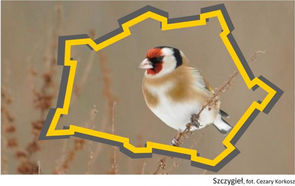 foto: materiał nadesłany