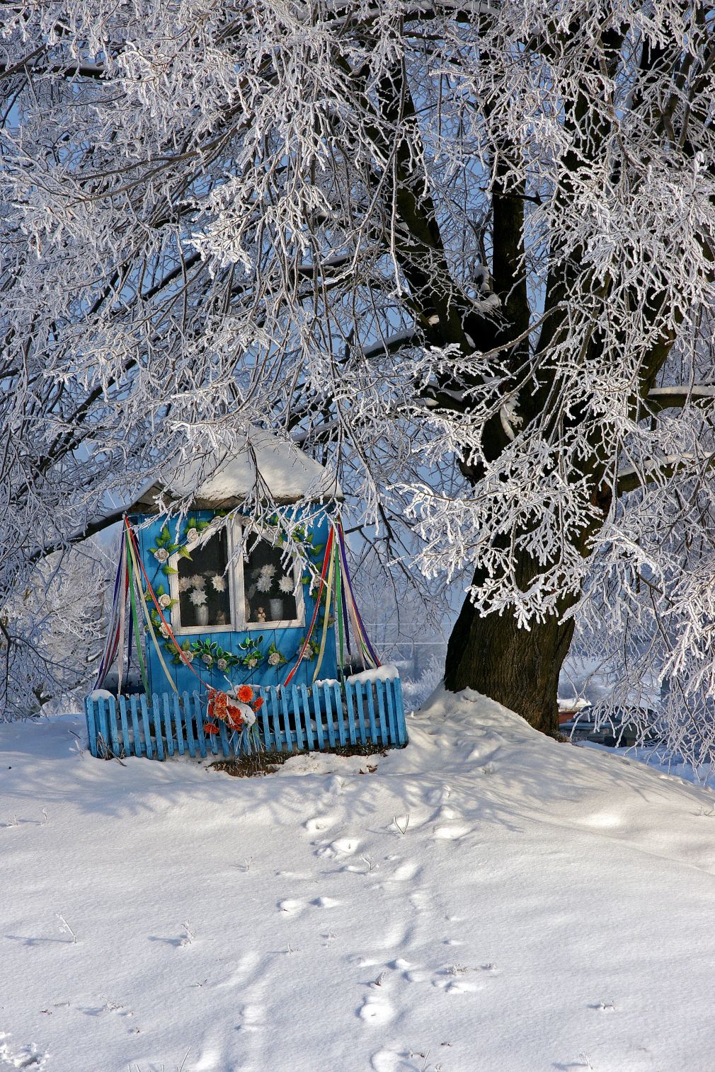 foto: materiał nadesłany