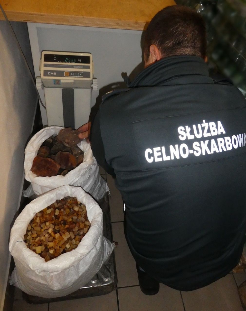 foto: materiał nadesłany