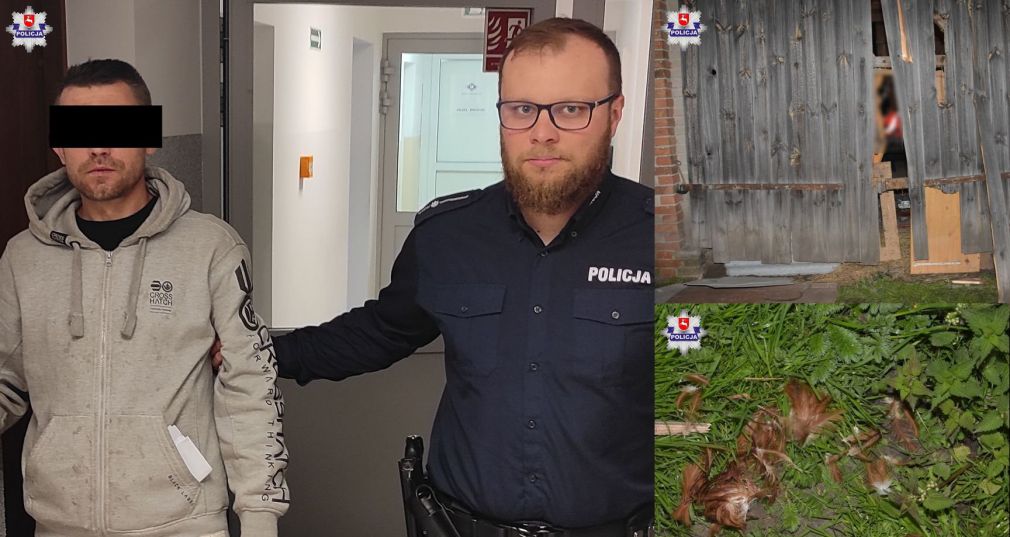 foto: Policja