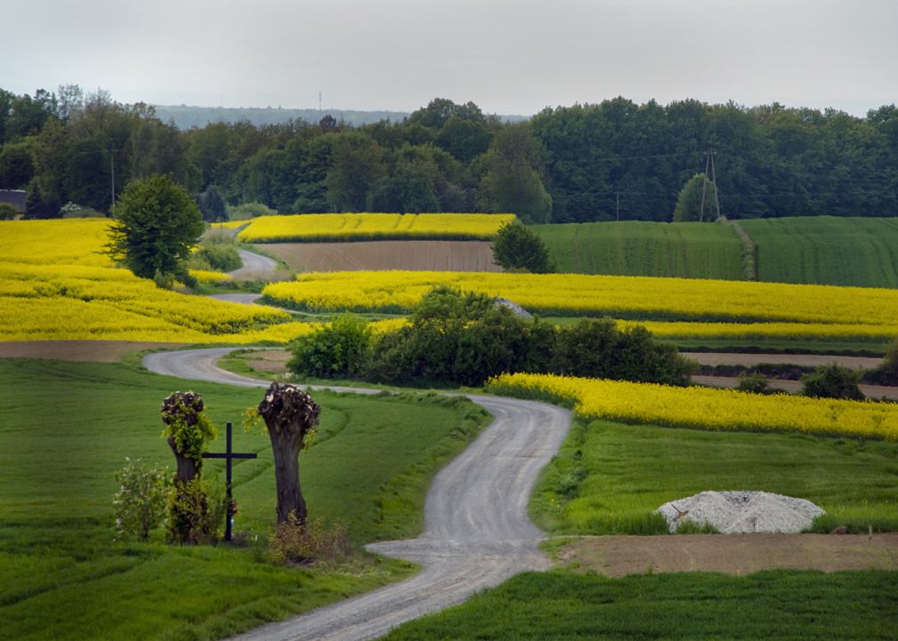 foto: materiał nadesłany