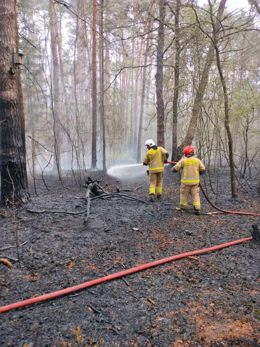 foto: PSP Zamość