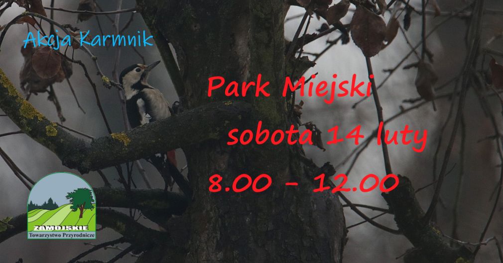 Plakat, materiał nadesłany