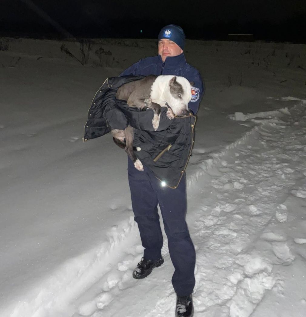 foto: Policja