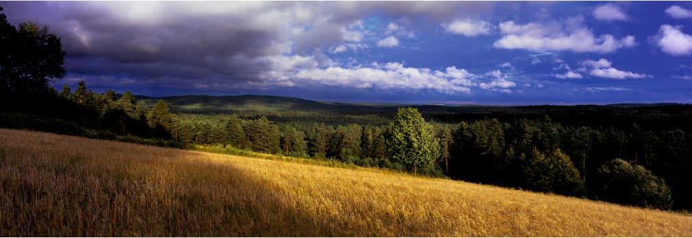 Jest to autorska wystawa fotografii Bartosza Dybowskiego, foto: materiał nadesłany