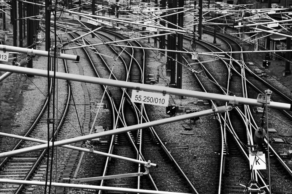 foto: materiał nadesłany