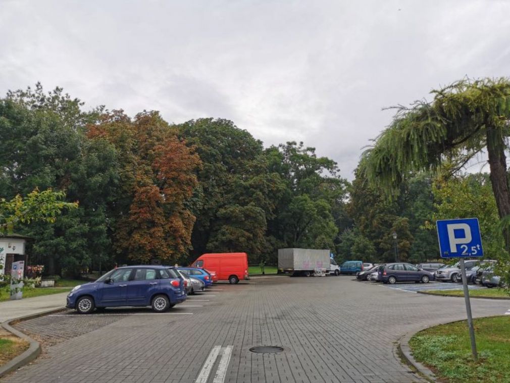 foto: archiwum, materiał poglądowy