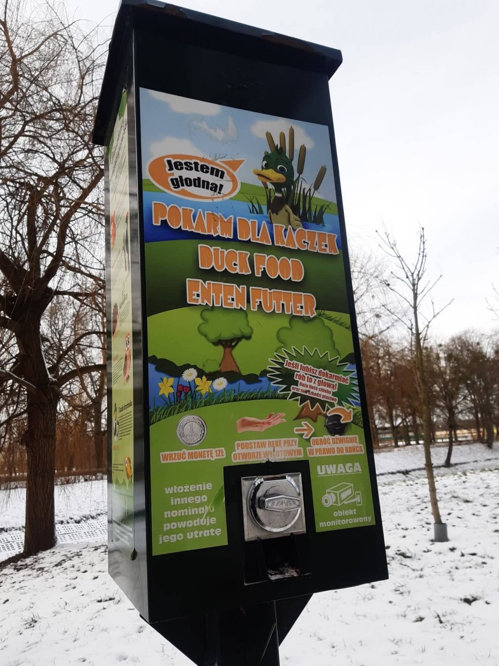foto: materiał nadesłany