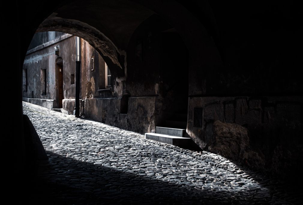 foto: materiał nadesłany