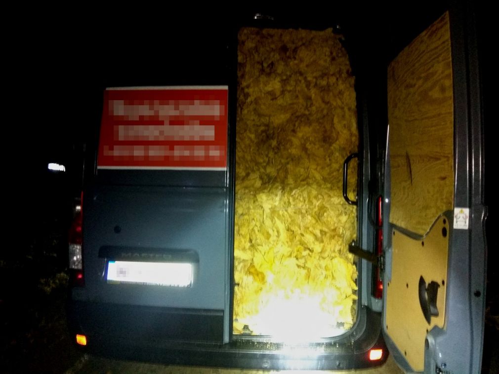 foto: materiał nadesłany 