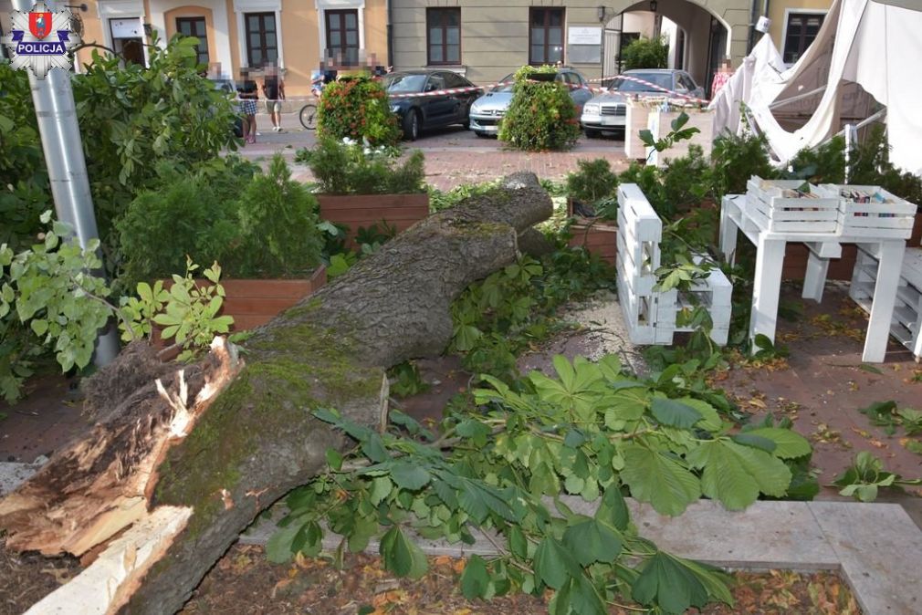 foto: Policja