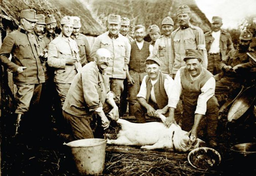 Świniobicie w austro-węgierskim stylu. Fot. ze zbiorów Adama Gąsianowskiego.