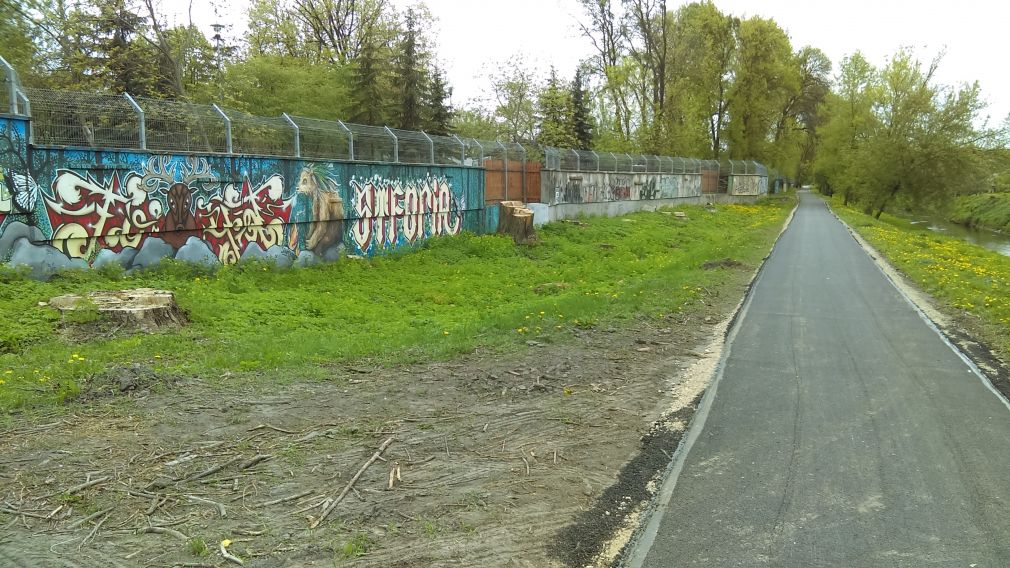 Nowy asfalt na bulwarze przy zoo, foto: materiał redakcyjny
