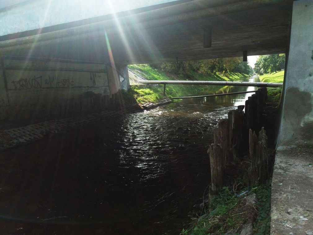 Dno rzeki Łabuńki zostało oczyszczone, foto: materiał redakcyjny