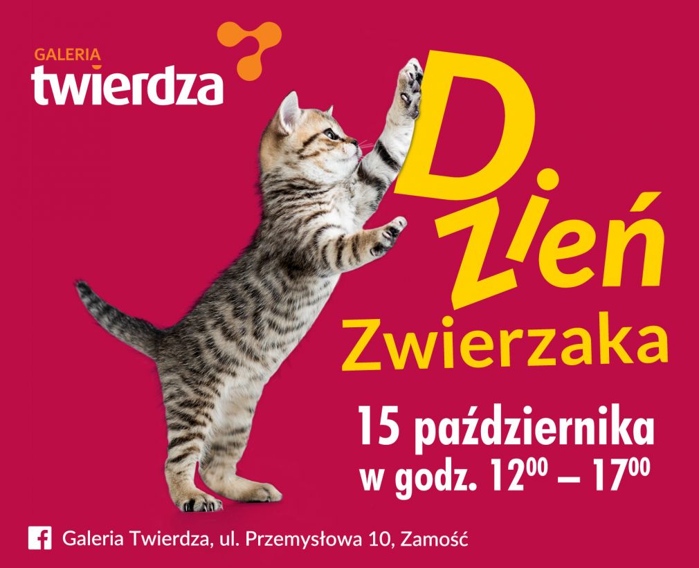 Plakat, źródło: materiał nadesłany