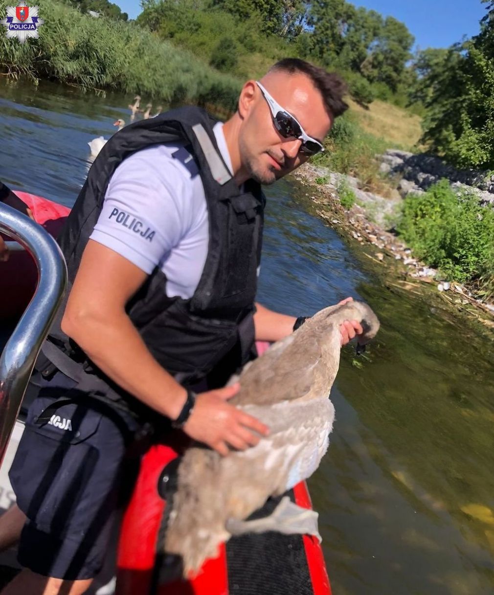 foto: Policja
