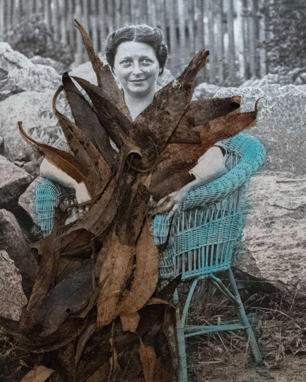 foto: materiał nadesłany