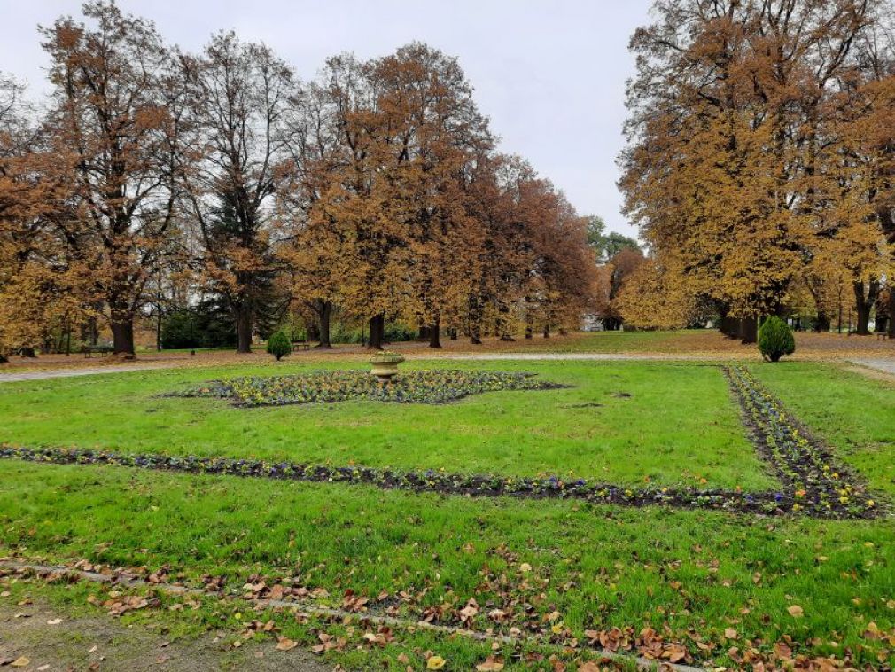 foto: UM Zamość