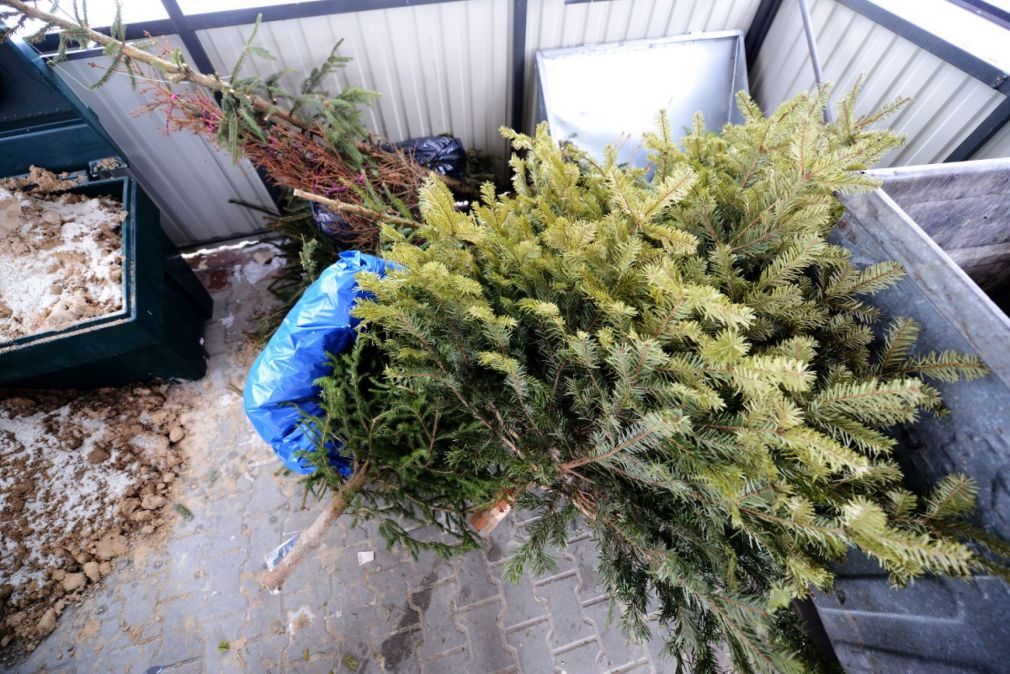 foto: archiwum, materiał poglądowy