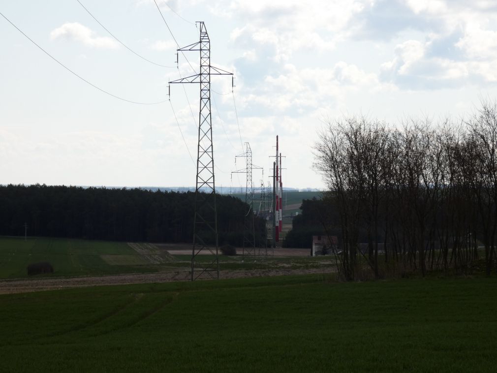 foto: materiał nadesłany