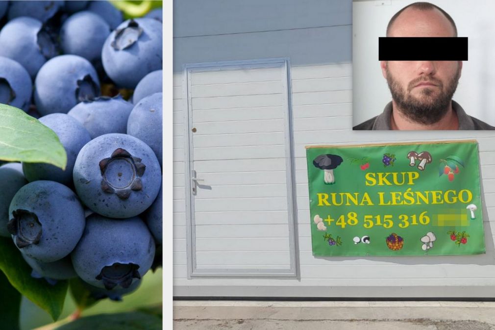 foto: Policja