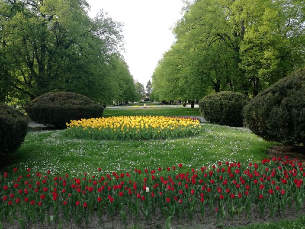foto: Urząd Miasta Zamość