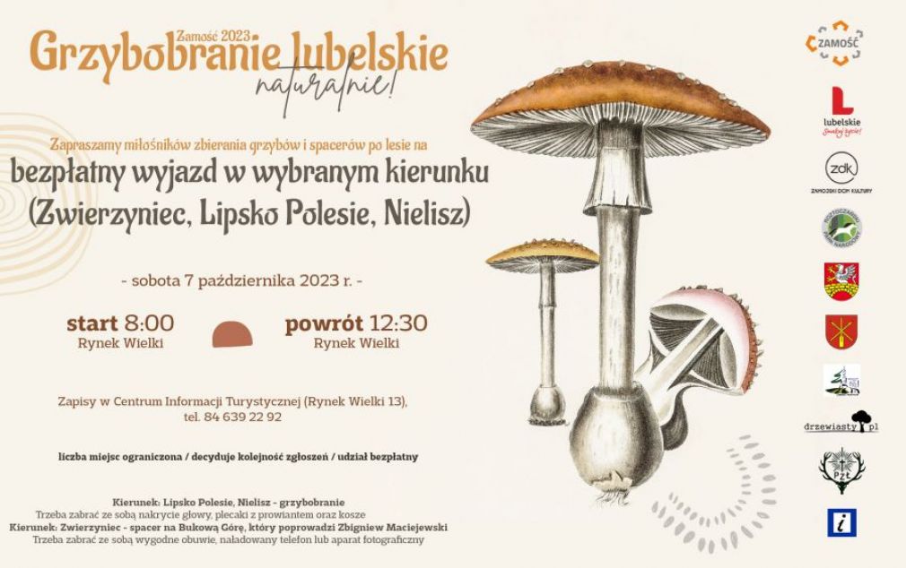 Plakat, materiał nadesłany