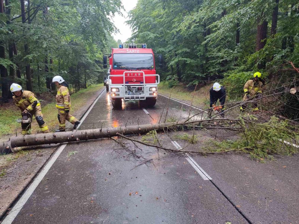 foto: OSP KSRG Zwierzyniec, OSP Obrocz