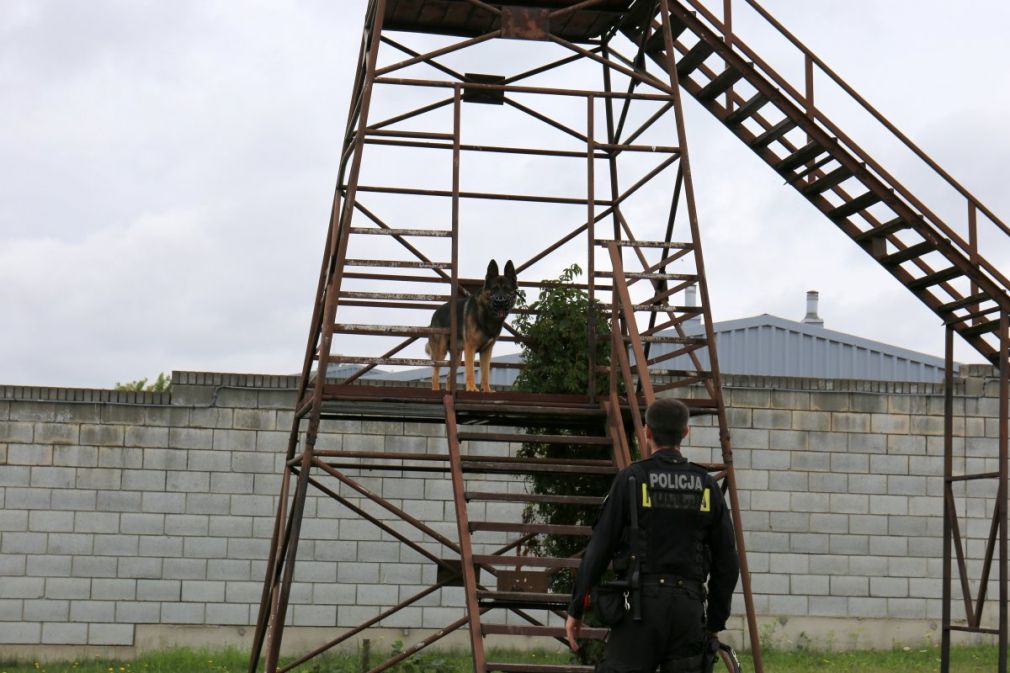 Zakończyły się wojewódzkie eliminacje do XVIII finału Kynologicznych Mistrzostw Policji SUŁKOWICE 2018, foto: Policja