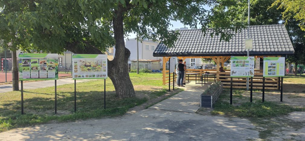 foto: UM Zamość