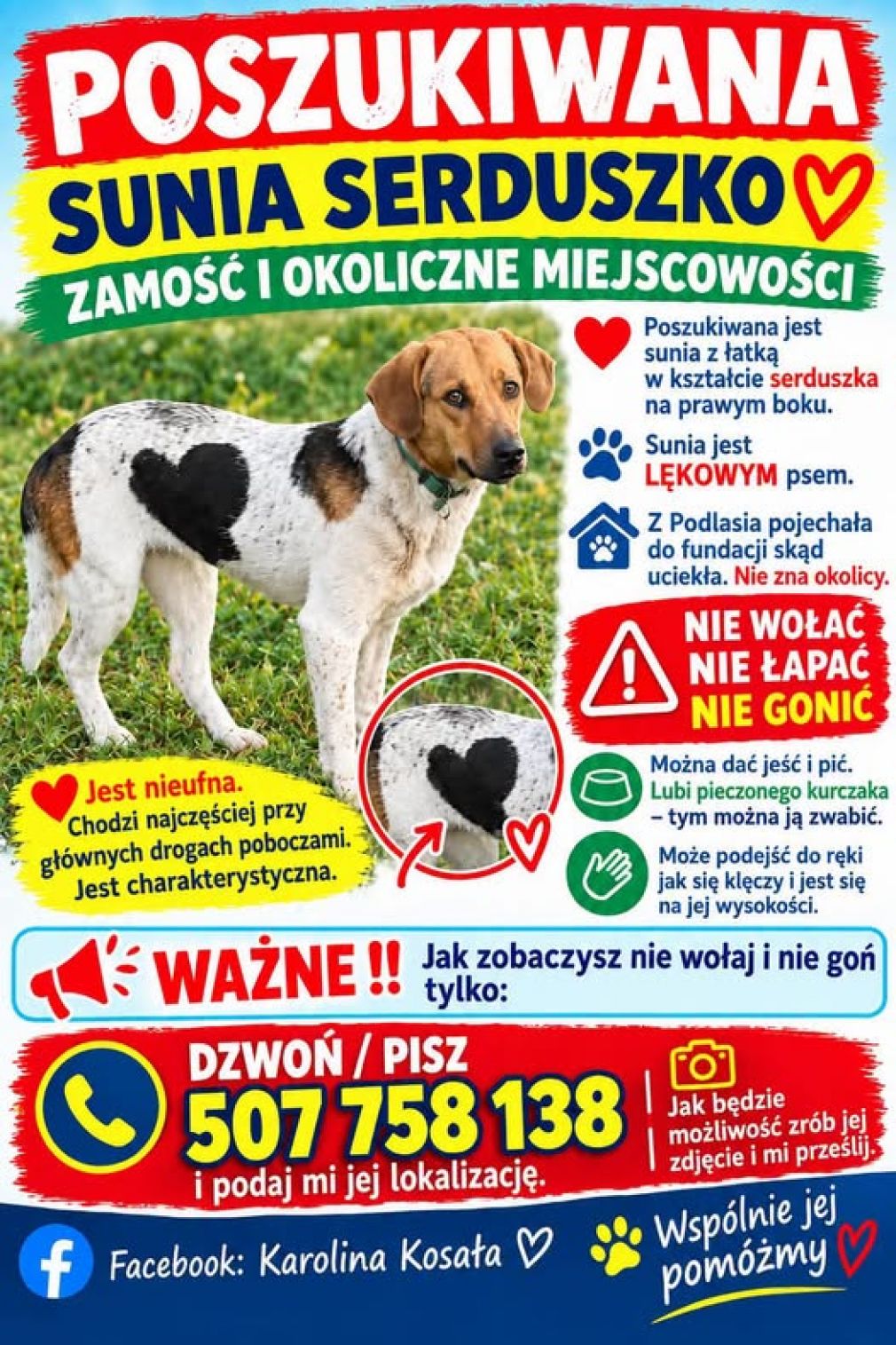 Plakat, materiał nadesłany