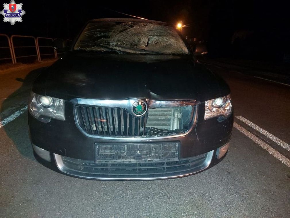 foto: Policja