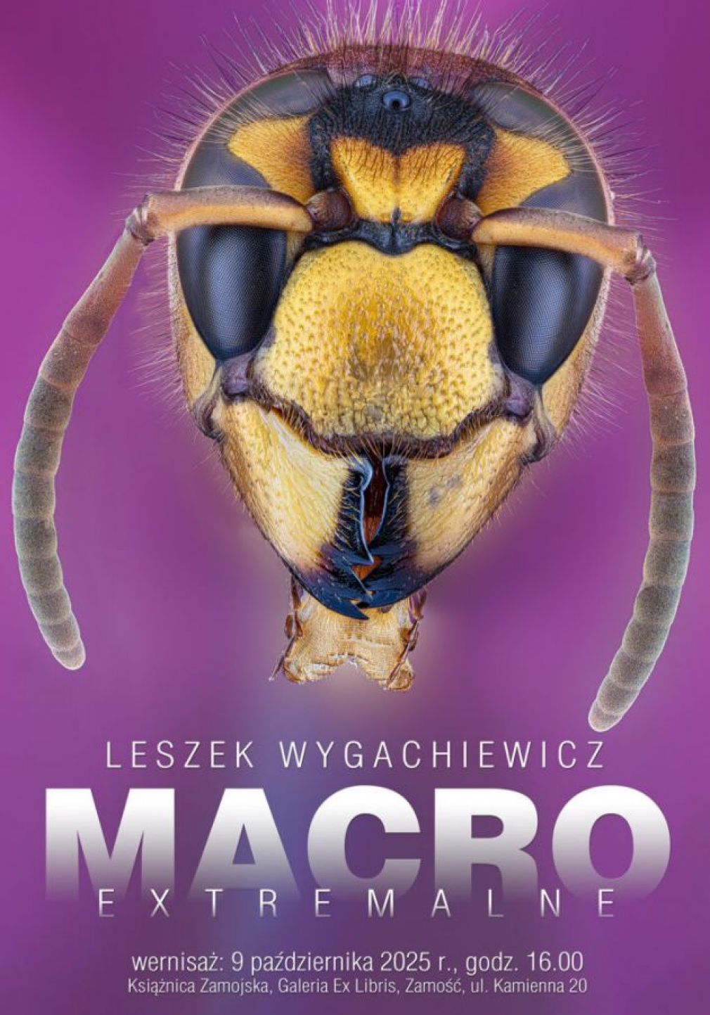 Plakat, materiał nadesłany