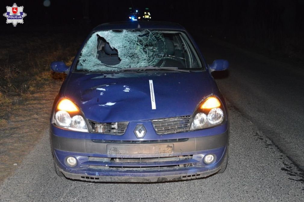  Kierujący pojazdem marki Renault 58-letni mieszkaniec gminy Turobin na prostym odcinku drogi potrącił 52-letniego mężczyznę, foto: Policja