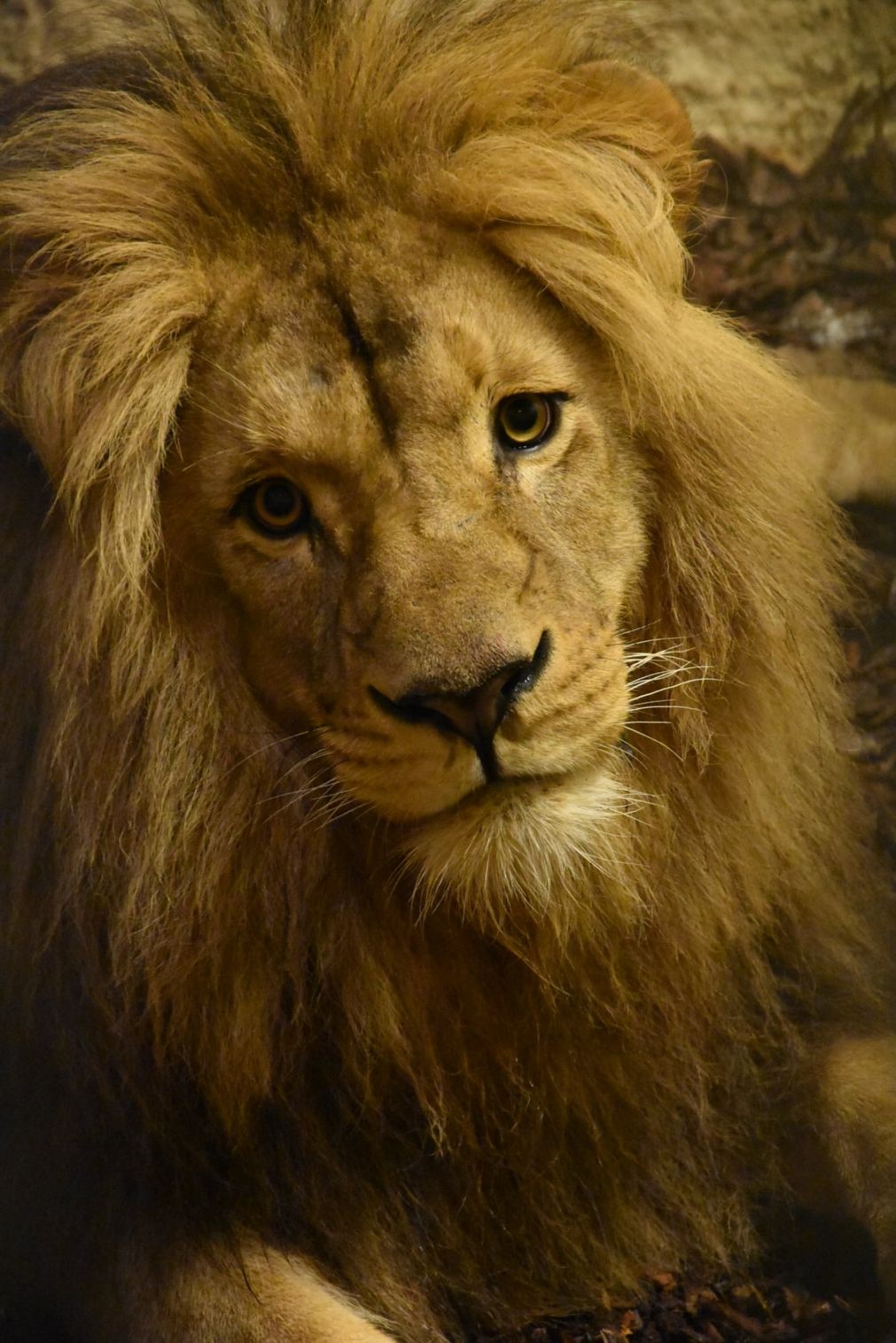 foto: ZOO Zamość