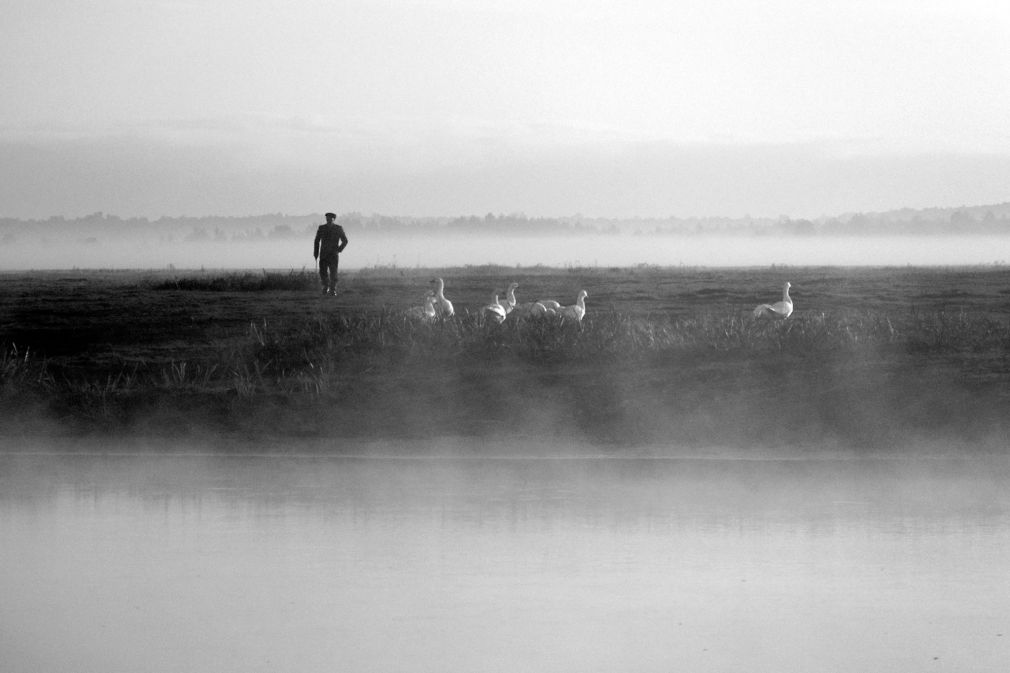 foto: materiał nadesłany