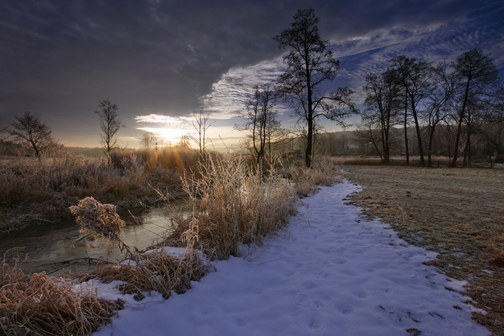 foto: materiał nadesłany