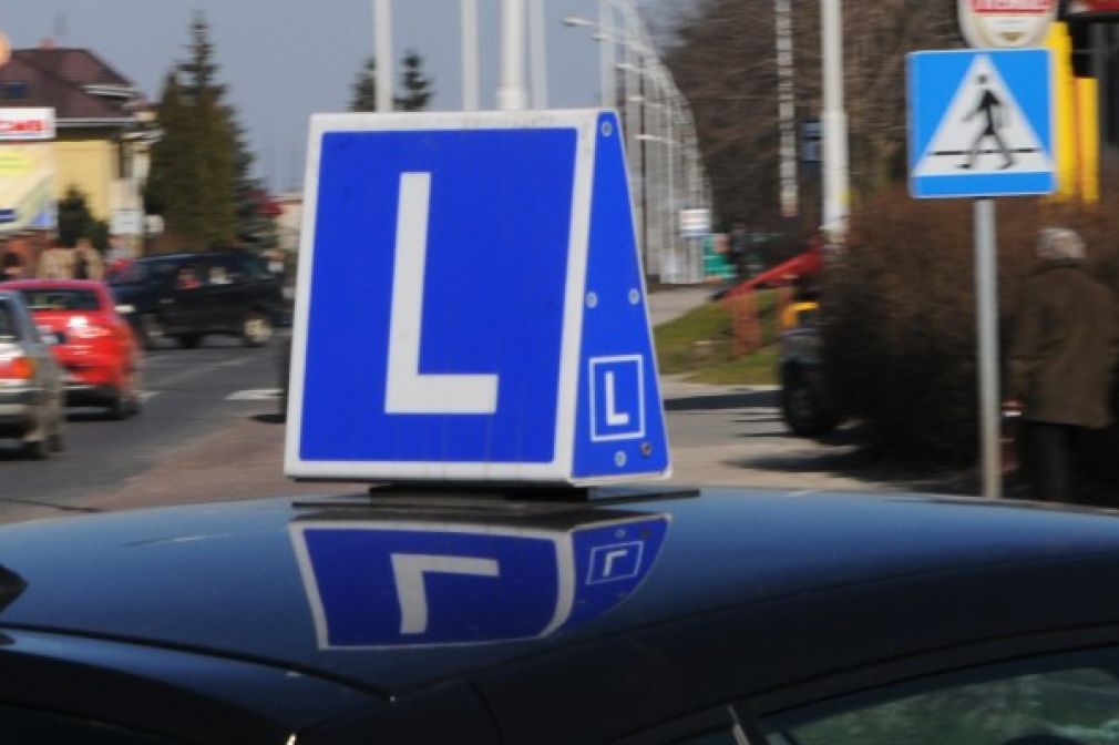 W czerwcu i lipcu kontrolerzy sprawdzali/ją działanie trzech OSK, fot. Szymon Łyciuk (archiwum, ezamosc.pl)