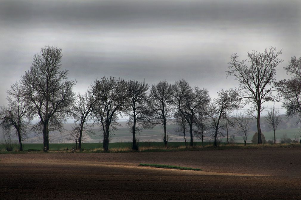 foto: materiał nadesłany