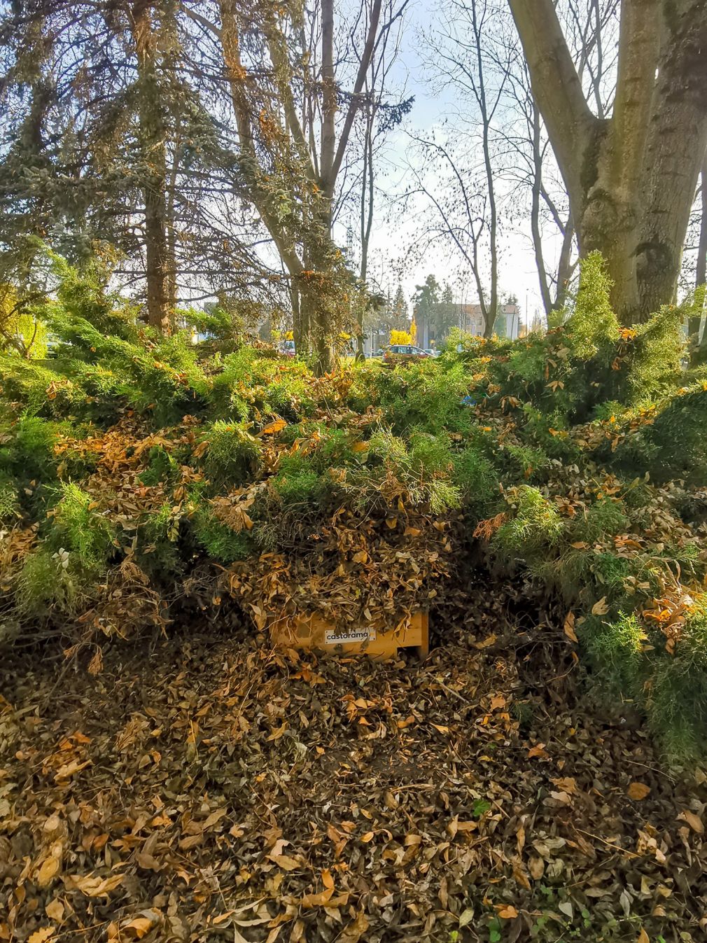 foto: materiał nadesłany