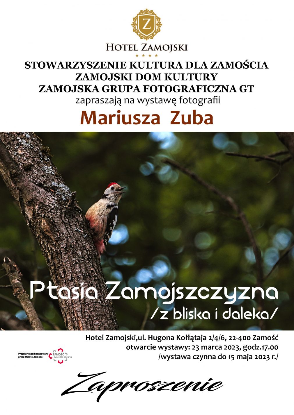 Plakat, materiał nadesłany