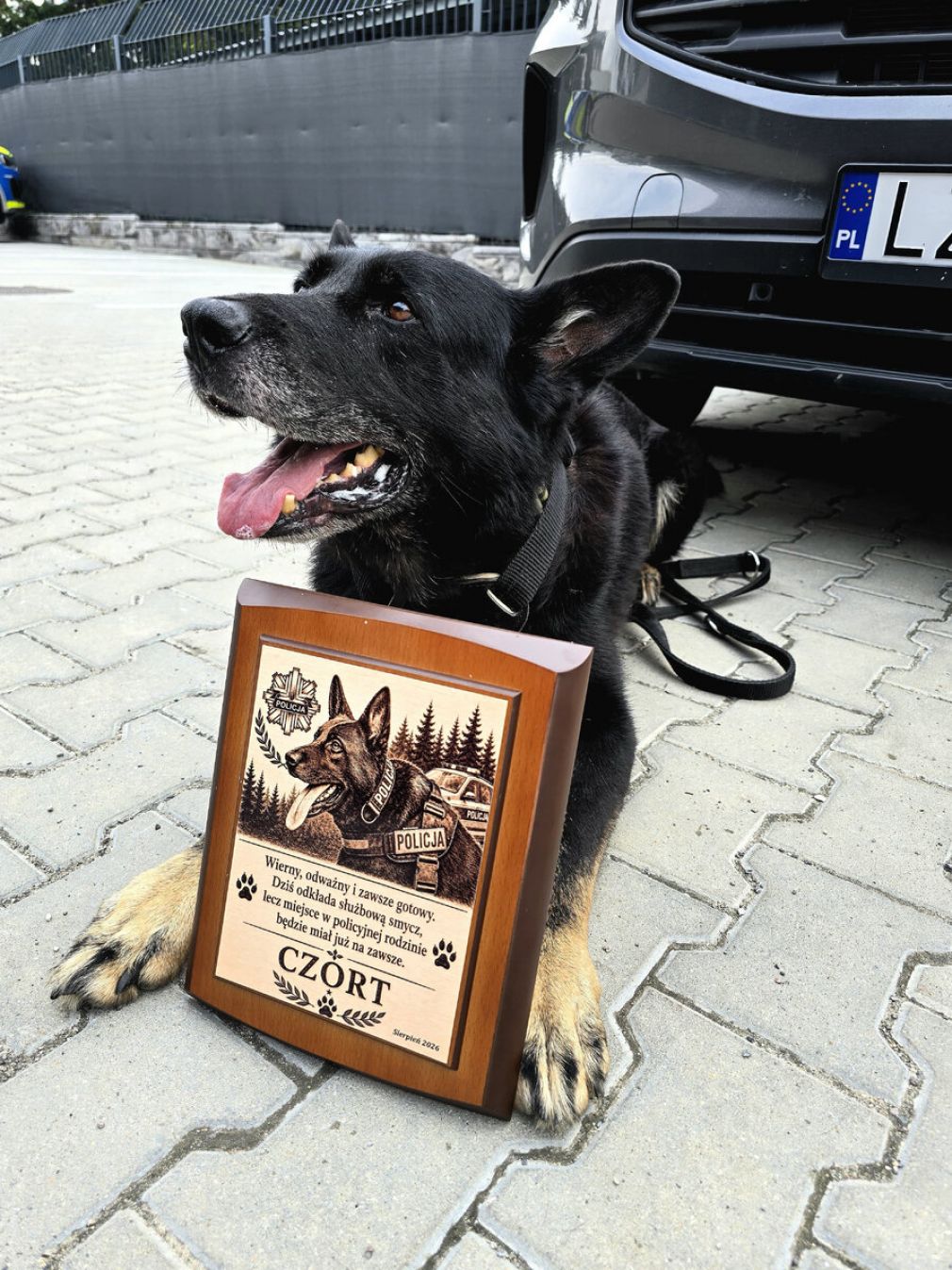 foto: Policja