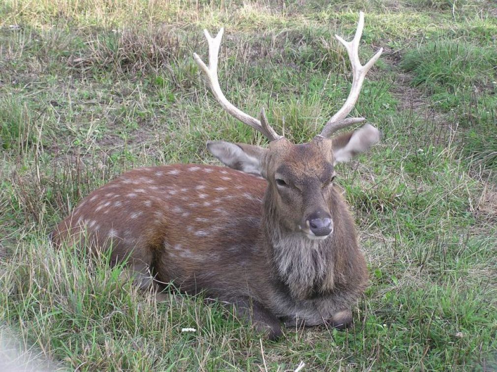 fot. ww.zoo.zamosc.pl