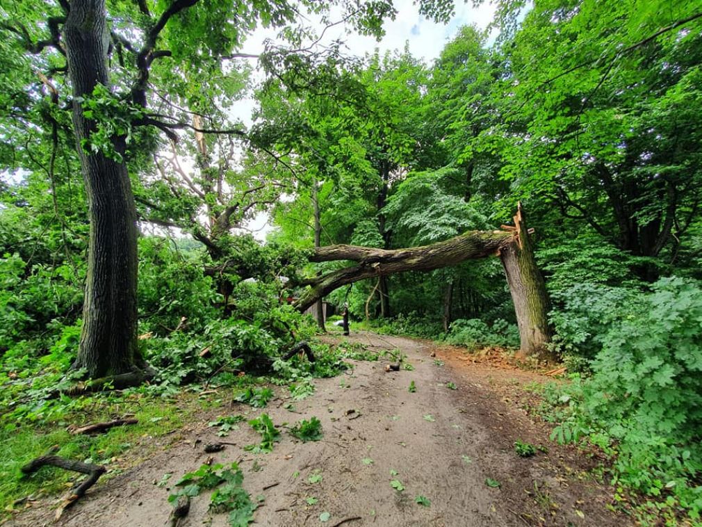 foto: materiał nadesłany