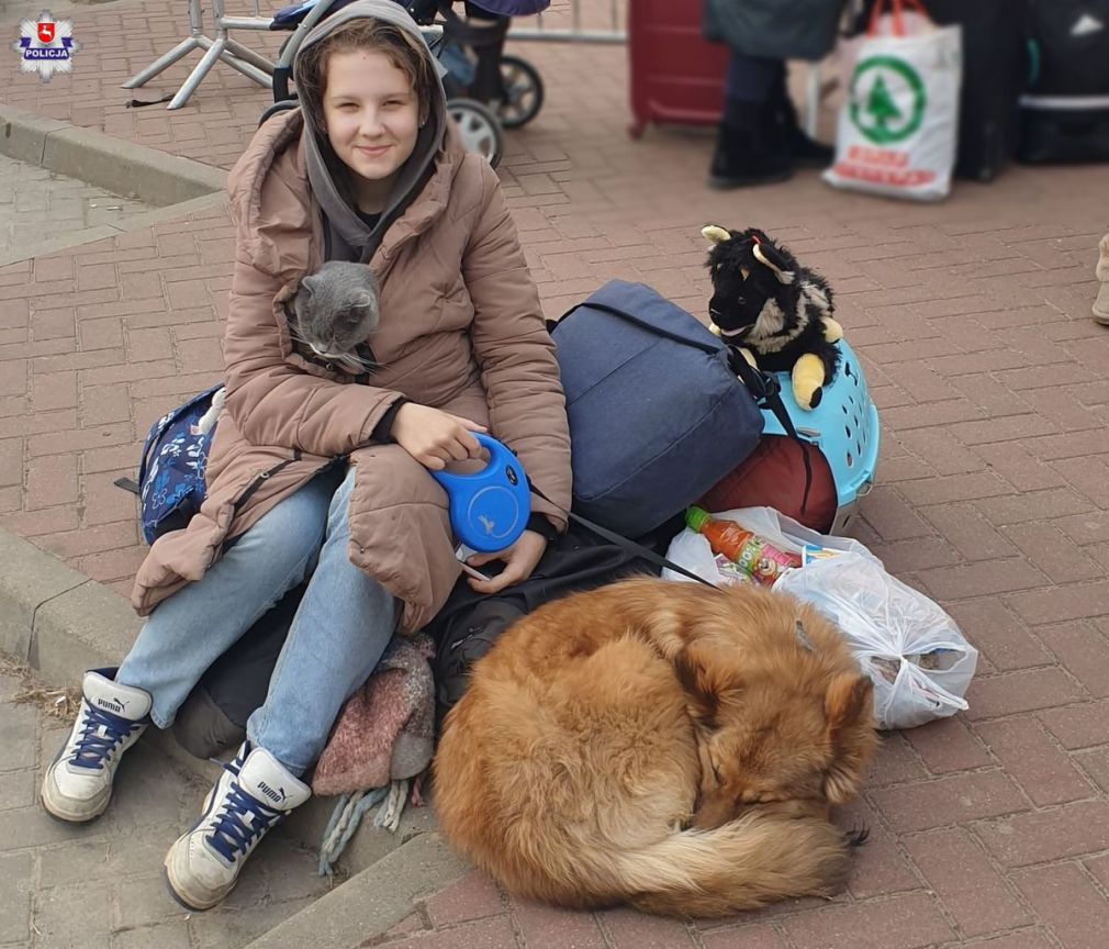 foto: Policja