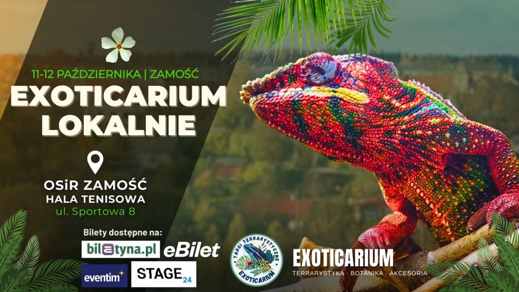 Plakat, materiał nadesłany