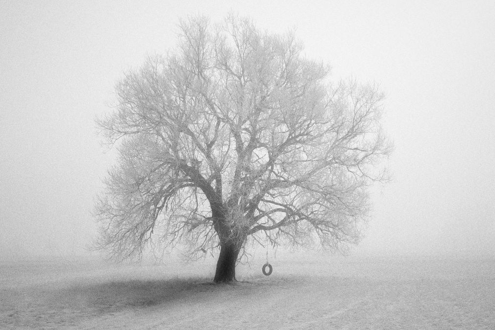 foto: materiał nadesłany