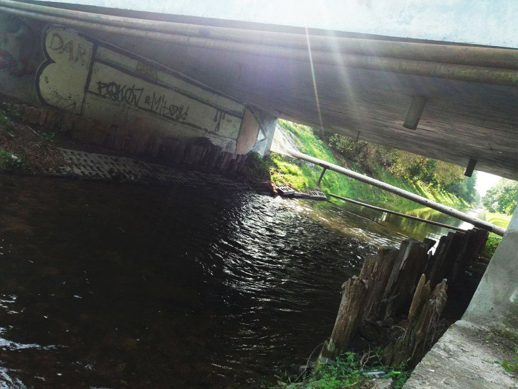 foto: archiwum, materiał poglądowy